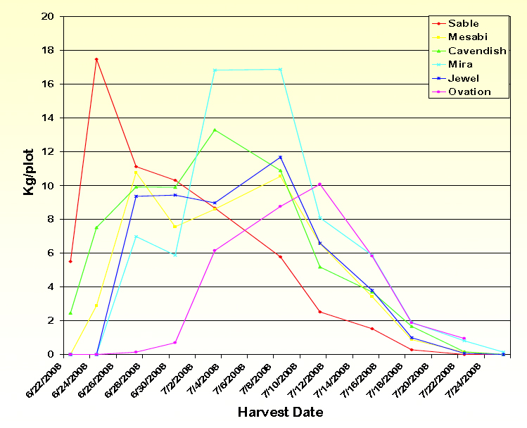 chart showing Kg/plot and harvest dates for Sable, Mesabi, Cavendish, Mira, Jewel, and Ovation