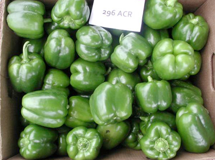 Peppers: 296 ACR