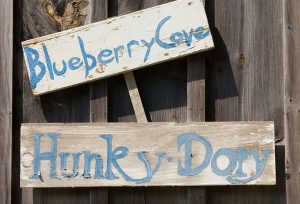 Blueberry Cove Hinky Dory sign