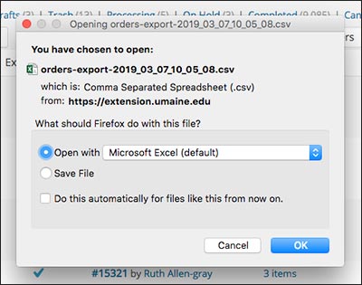 screenshot of pop up window that will open Excel file