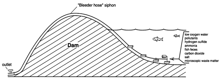 diagram of a pond with a bleeder hose