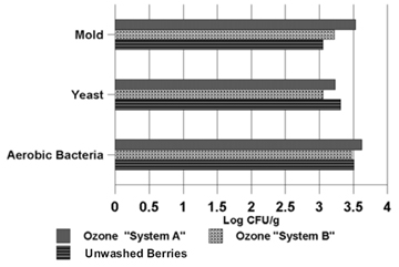 Figure 1: Graph shows the populations of specific microbes on blueberries when they were washed for ten minutes with Ozone "System A", washed for ten minutes with Ozone "System B," or left unwashed as a control group. All figures listed here are approximations from reading the graph, represented in units of Log CFU/g. Mold populations were at 3.55 with Ozone "System A," 3.25 with Ozone "System B," and 3.1 on the unwashed blueberries. Yeast populations were at 3.25 with Ozone "System A," 3.1 with Ozone "System B," and 3.3 on the unwashed blueberries. Aerobic bacteria populations were at 3.65 with Ozone "System A," 3.5 with Ozone "System B," and 3.5 on the unwashed blueberries.