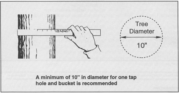 A minimum of 10 inches in diameter for one tap hole and bucket is recommended.