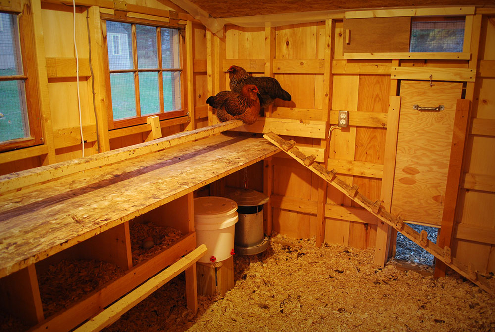 IV. Designing the Layout of Your Hen Housing and Coop