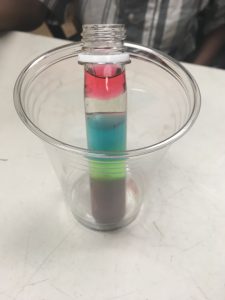 test tube with fluids of different densities