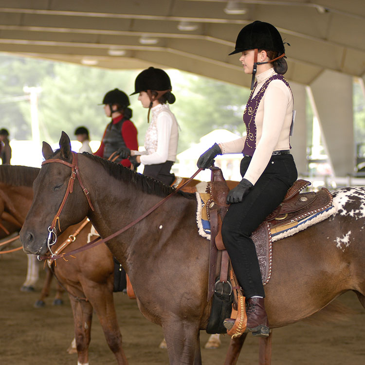4-Hers and their horses compete at the fair