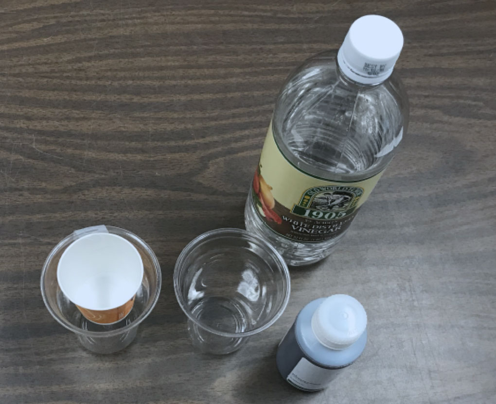 Ocean Acidification in a Cup setup: vinegar, plastic and paper cups, and acid-base indicator solution