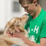 a teen boy wearing a 4-H t-shirt with a dog