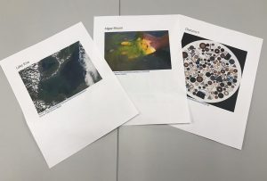 pages from the booklet about algae bloom