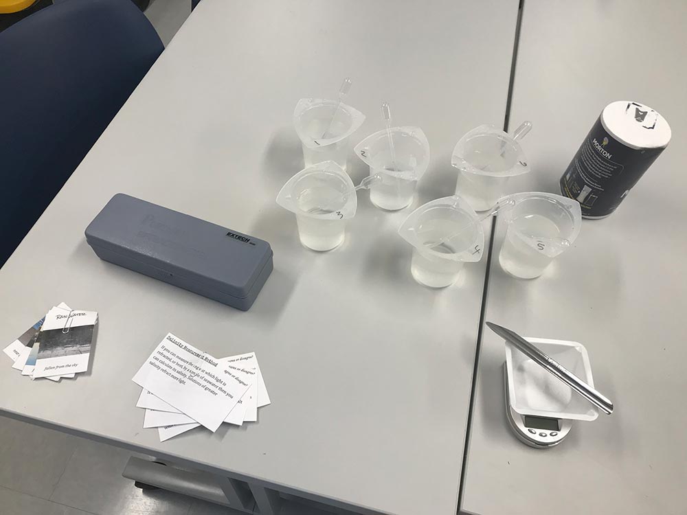 full set-up of items for the salinity activity