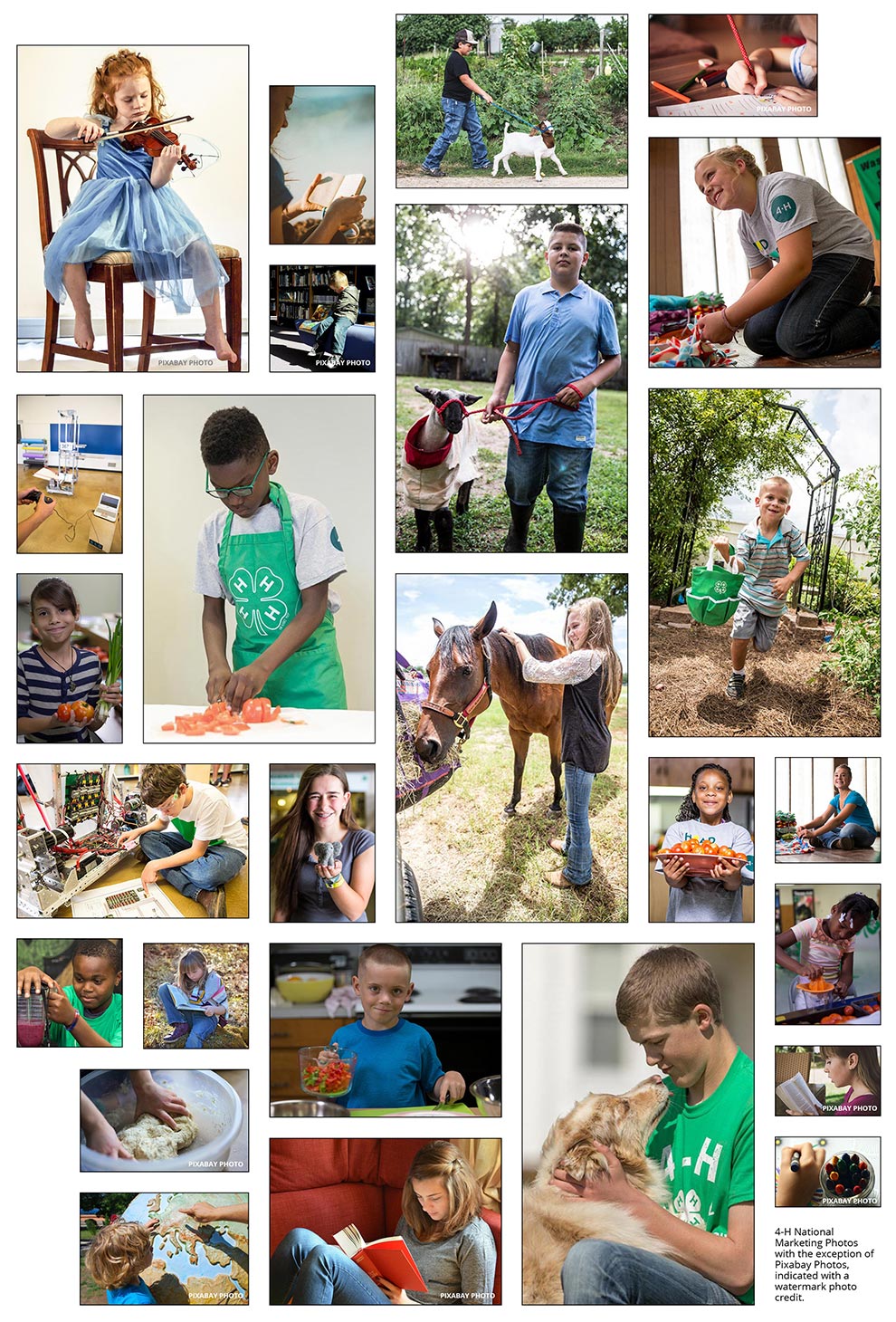photo collage of all age groups for the Learn at Home resources section of 4-H