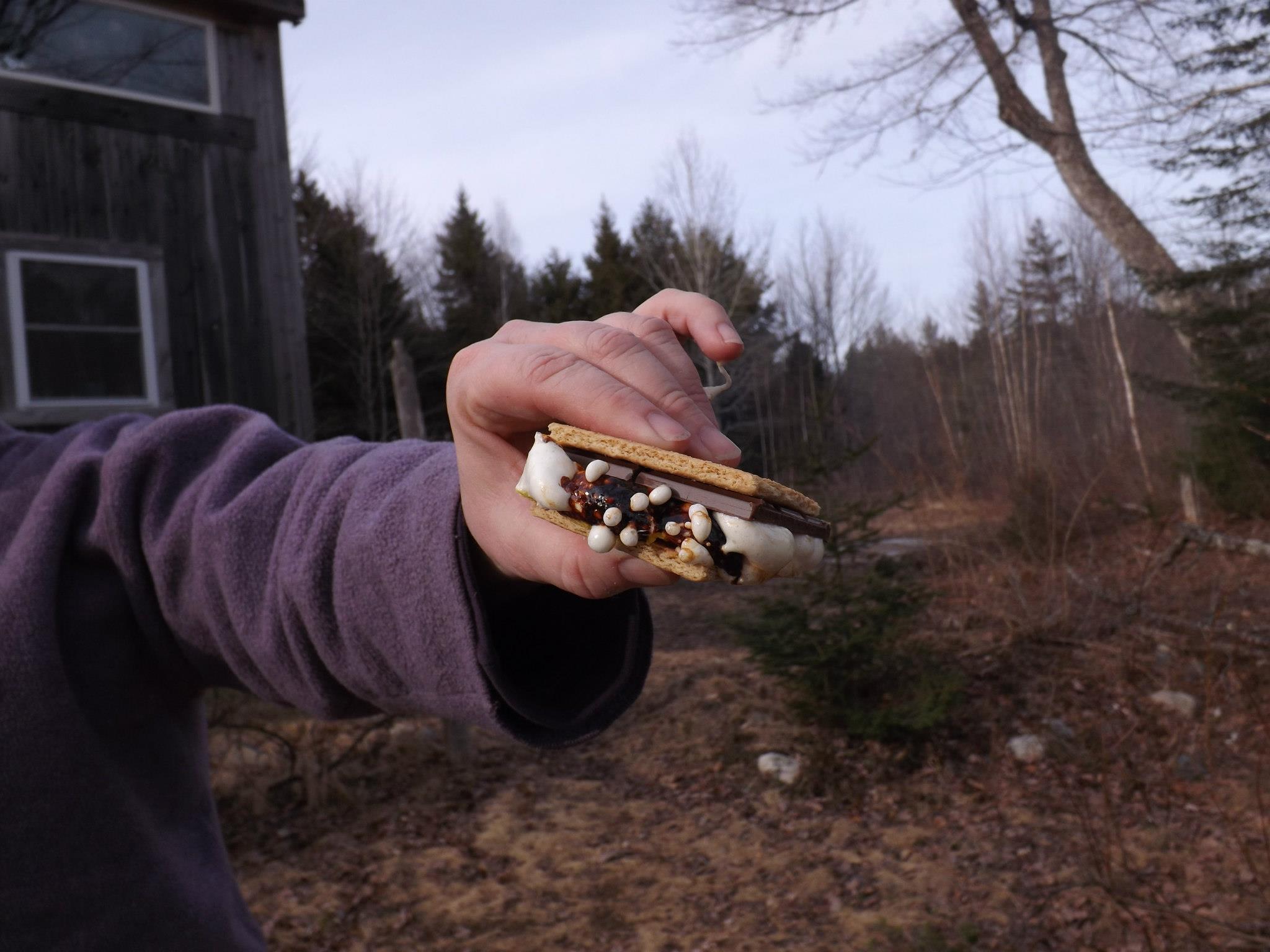 A hand holding a s'more.