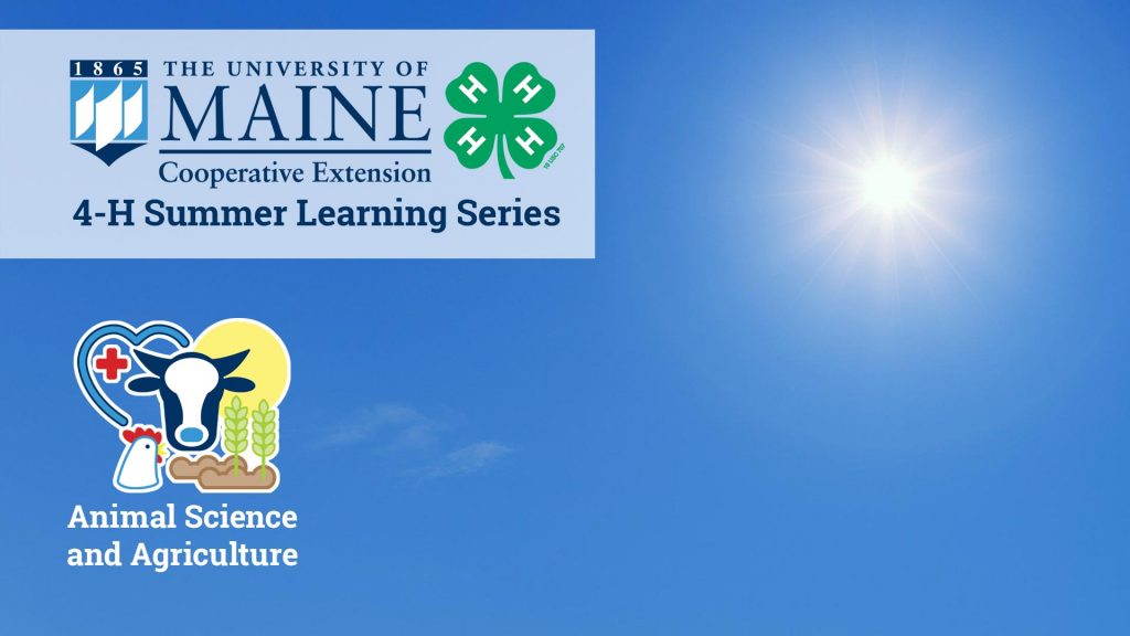 Animal Science and Agriculture 4-H Summer Learning Series virtual background image