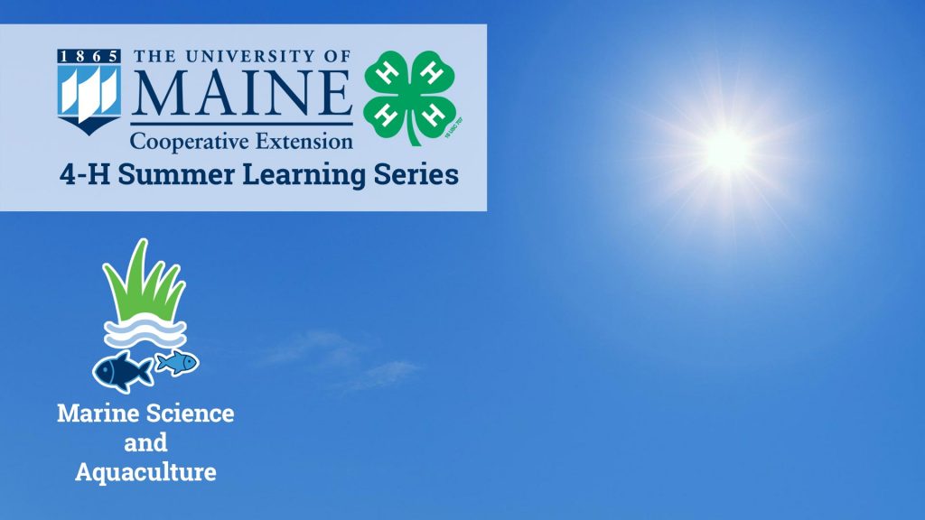 Marine Science and Aquaculture 4-H Summer Learning Series virtual background image