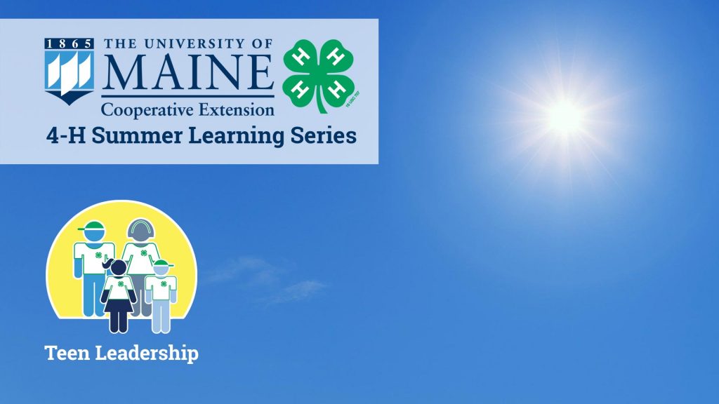 Teen Leadership 4-H Summer Learning Series virtual background image