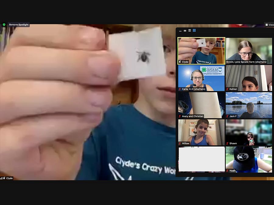 presenter showing a tick sample during a 4-H virtual learning session