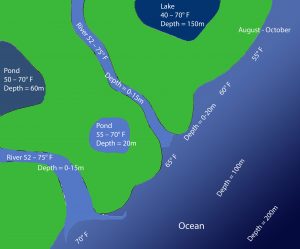 Map for Activity 2 of Sustainable Fishing 4-H STEM Toolkit which shows for August-October temperature and depths for various bodies of water. From left to right: Pond #1, 50-70℉, Depth = 60m; River, 52-75℉, Depth = 0-15m; River #2, 52-75℉, Depth = 0-15m; Pond #2, 55-70℉, Depth = 20m; Lake, 40-70℉, Depth = 150m; Ocean various depths and temperatures – 55, 60 and 70℉; and 0-20m, 100m and 200m. Key for image, ℉ = degrees fahrenheit and m = meters