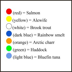Graphic of a guide/key to seven different colored circles representing seven different bead colors and which species of fish each bead represents