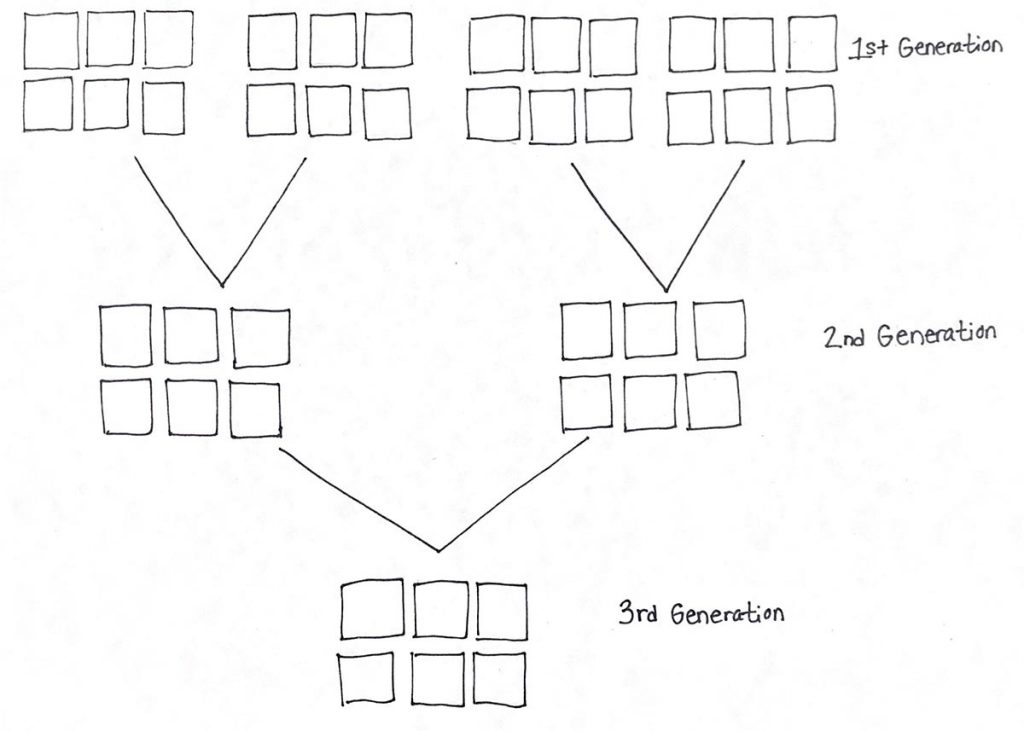 hand drawn DNA inheritance template