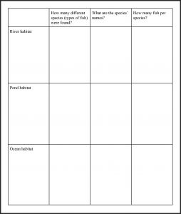 Data collection sheet for the whole class or group