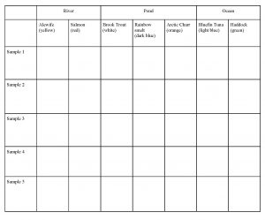 Data collection sheet for individual youth