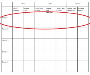 data collection sheet for individual youth that has the Sample 1 row in a circle