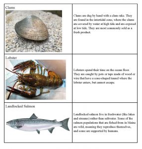 Activity 1: Getting to Know Aquatic Animals - Cooperative Extension: 4-H -  University of Maine Cooperative Extension