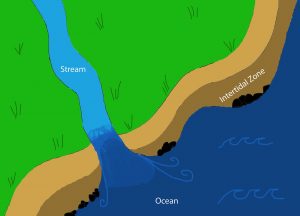 Zone Map depicting a stream, the ocean, and the intertidal zone,