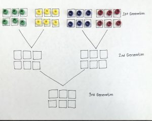 hand drawn DNA inheritance template with the 1st generation tier boxes each filled with four different colors of beads