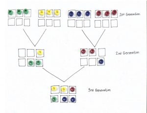 hand drawn DNA inheritance template with all three tiers of generational boxes with combinations of colored beads in the boxes
