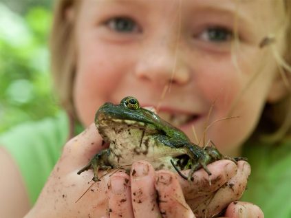 youth holding a frog for summer learning