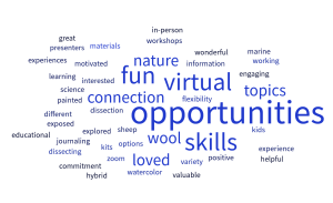 Word cloud of terms from evaluations: highlighted are fun, virtual, opportunities, connection, loved