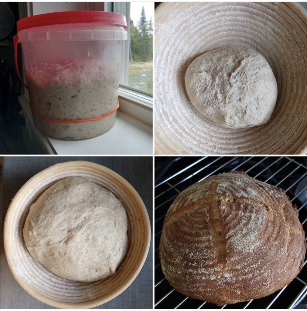 Four images: A bucket of sourdough starter, a small ball of dough, a larger raised dough ball, and a completed baked loaf of sourdough bread.