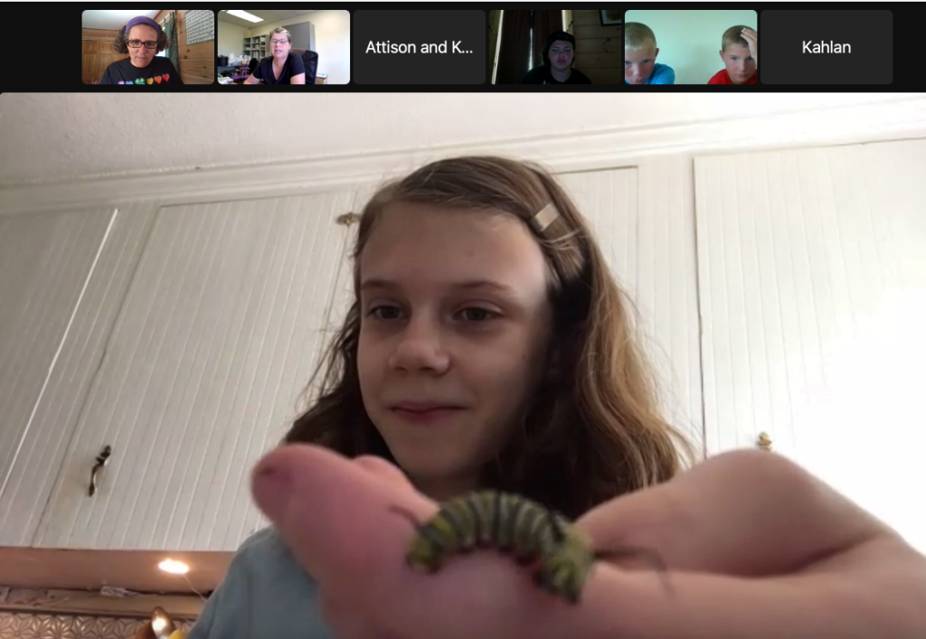 Screen Shot of zoom workshop - a young 4-her shows a caterpillar to other attendees.