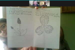 screenshot of 4-H Summer Learning online session of Nature Science Journal