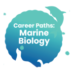 artwork for the Career Paths in Marine Biology section of the Harmless and Shifting Species toolkit