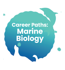 artwork for the Career Paths in Marine Biology section of the Harmless and Shifting Species toolkit