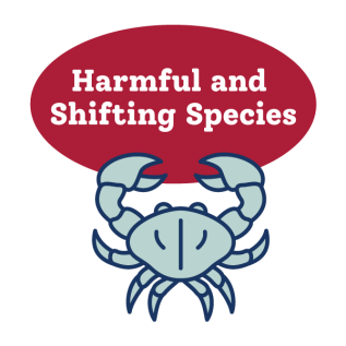 artwork for Harmful and Shifting Species Toolkit