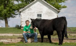 a teenage 4-H member with a cow in the backyard of a farmhouse