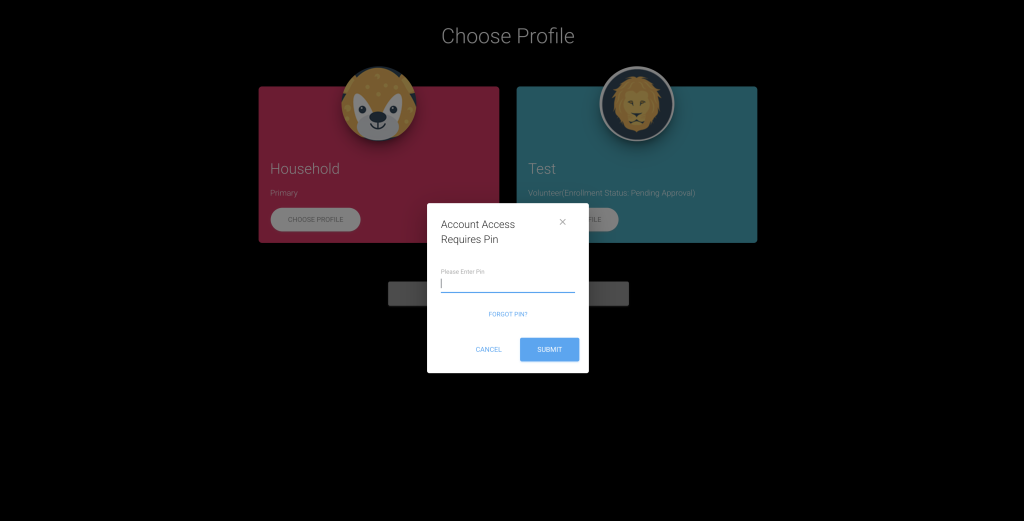 Screen capture of Choose Profile, Account Access Requires Pin