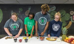 teenage 4-H members working at a table, chopping various fruits, preparing a recipe