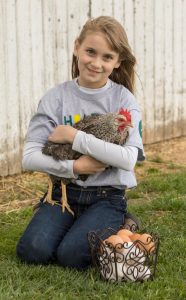 young 4-H member holding a chicken after having gathered a basket of eggs