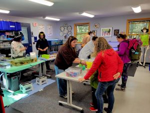 staff and participants preparing science experiments