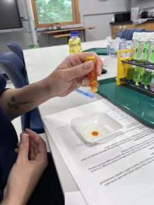 using orange drops as part of science experiment