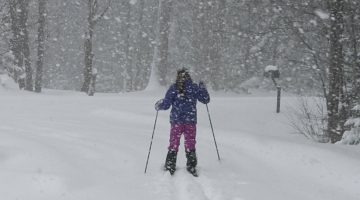 A person in snow gear, skiing in the snow in the woods.