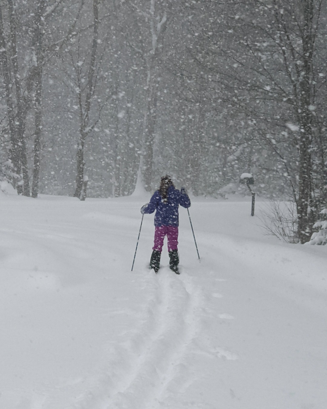 A person in snow gear, skiing in the snow in the woods.