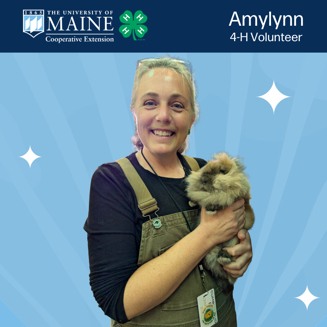 Combined University of Maine Cooperative Extension and 4-H Logo and Amylynn, 4-H Volunteer, holding a rabbit.