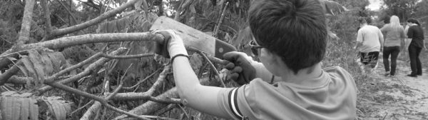 4-H'er trims limbs from a tree