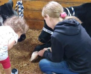 preteen showing a toddler a hoof of a cow