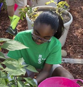 a young person working with a plant in a garden